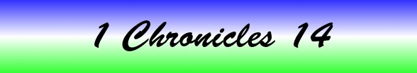 1 Chronicles Chapter 14