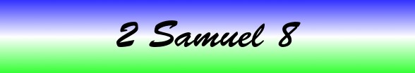 2 Samuel Chapter 8