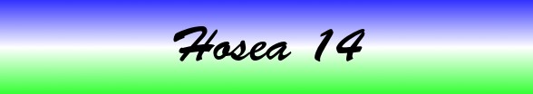 Hosea Chapter 14