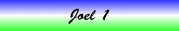 Joel Chapter 1