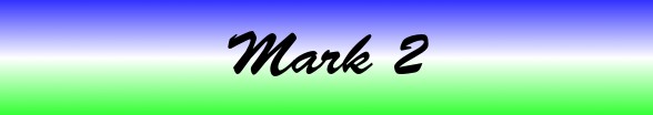 Mark Chapter 2