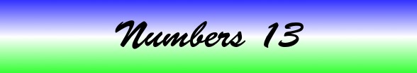 Numbers Chapter 13