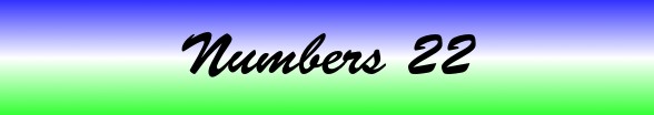 Numbers Chapter 22