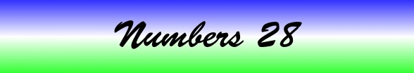 Numbers Chapter 28