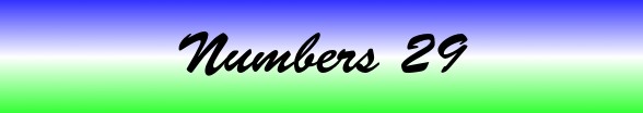 Numbers Chapter 29