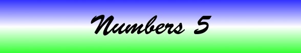 Numbers Chapter 5