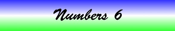 Numbers Chapter 6