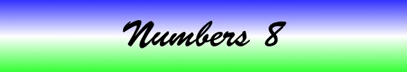 Numbers Chapter 8