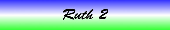 Ruth Chapter 2